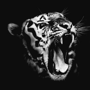 Meet your Posher, Erika